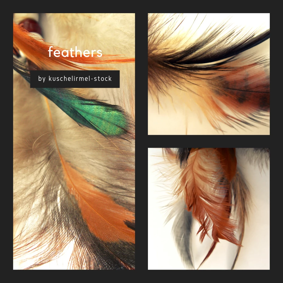 feathers textures