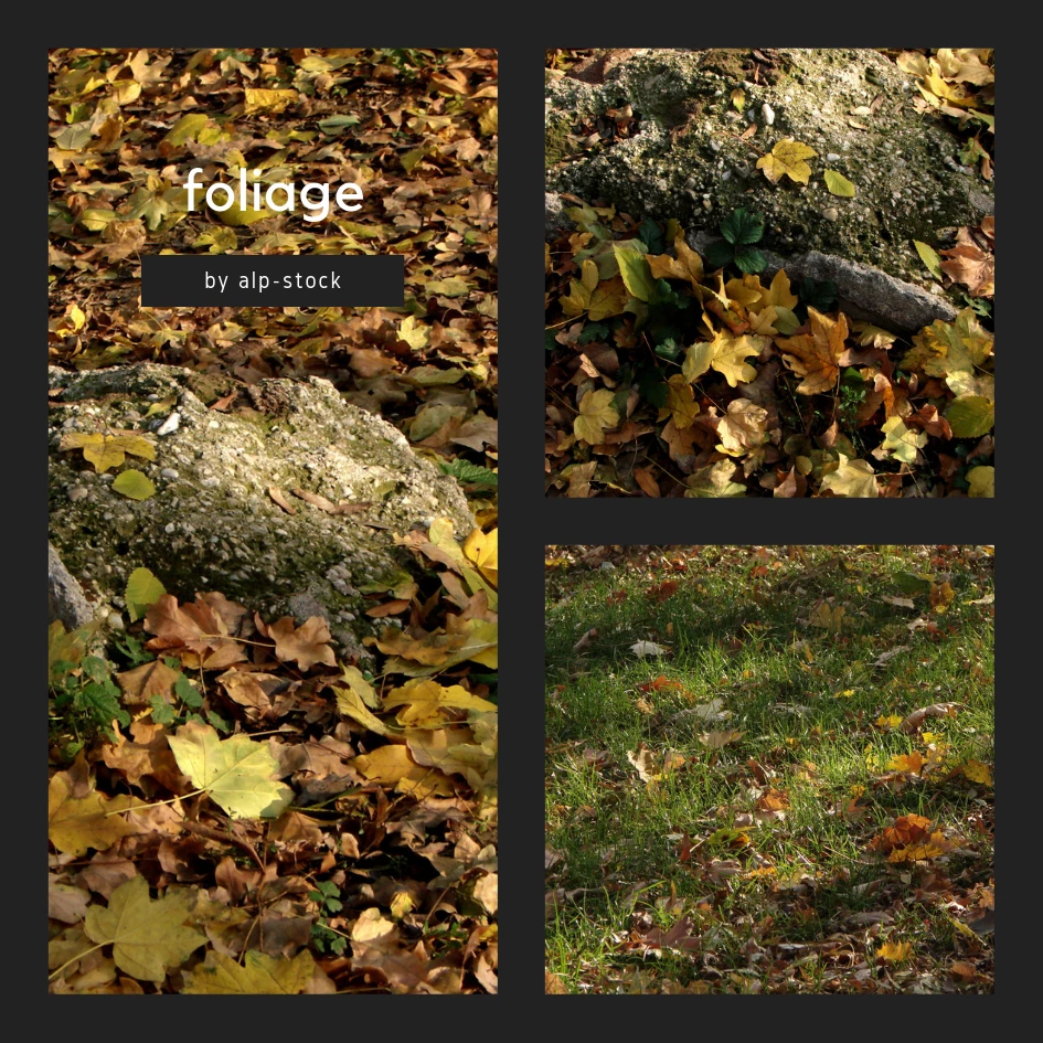 foliage texture
